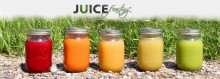 The-juice-feasting-nutrition-course-review